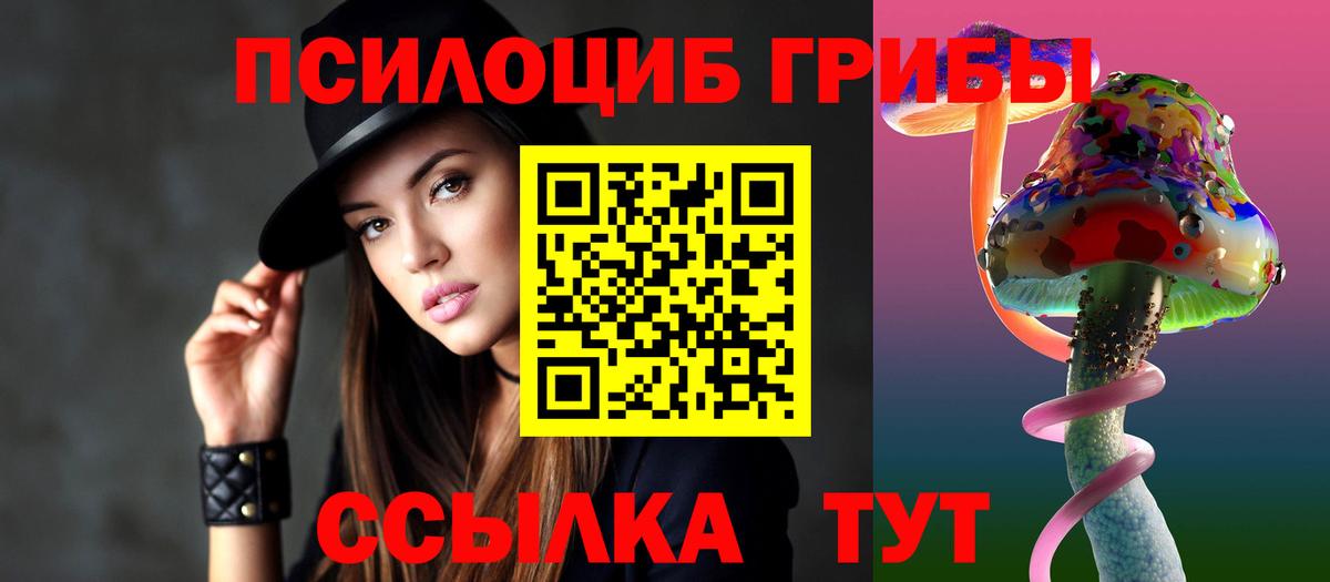 Павлово  Псилоцибиновые грибы Cubensis  Вход с VPN  Галлюциногенные грибы Psilocybine cubensis 