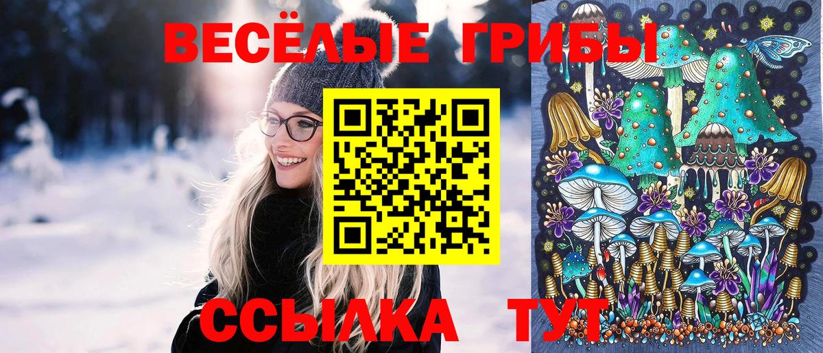 Галлюциногенные грибы мицелий Павлово